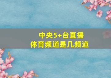 中央5+台直播 体育频道是几频道